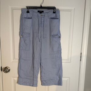 Express Light Blue Cropped Pants